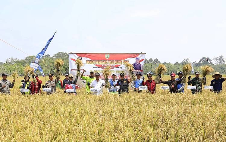 Pj Bupati Barito Timur Hadiri Panen Raya di Desa Tumpung Ulung
