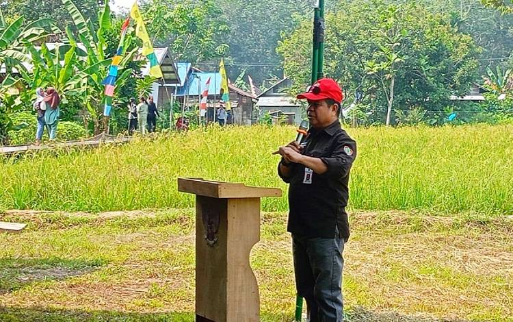 Sawah Tadah Hujan di Desa Tumpung Ulung Hasilkan 7,8 Ton Per Hektare