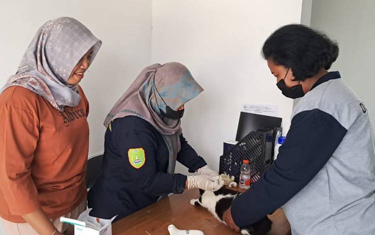 Diskeptan Sukamara Gelar Vaksinasi Rabies Serentak Secara Nasional?