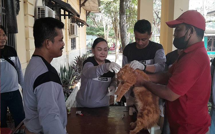Vaksinasi Rabies Gratis Distan Kapuas Disambut Antusias Pemilik Hewan Peliharaan