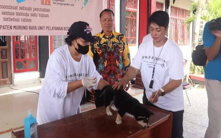 Pemkab Murung Raya Gelar Vaksinasi Rabies Massal Hewan Peliharaan