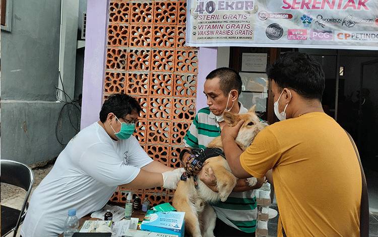 Selain Vaksinasi, Hari Rabies Sedunia Juga Layani Kastrasi dan Pemeriksaan Kesehatan