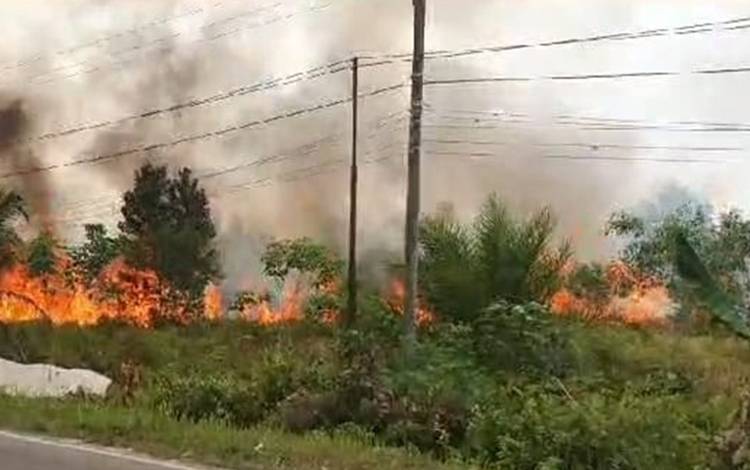 Polresta Palangka Raya Ungkap Terduga Pelaku Pembakar Lahan di Tanjung Pinang
