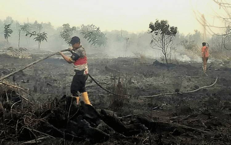 Jaga Keberlangsungan Lingkungan dengan Tidak Membakar Lahan
