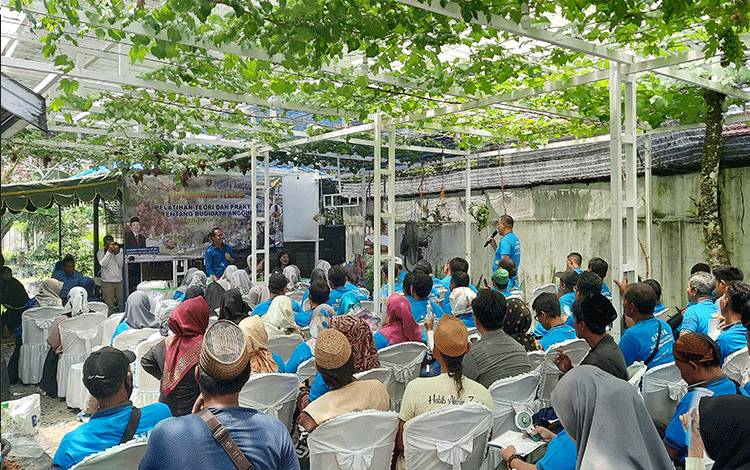 Ratusan Peserta Ikuti Bimtek Budidaya Anggur di Kobar