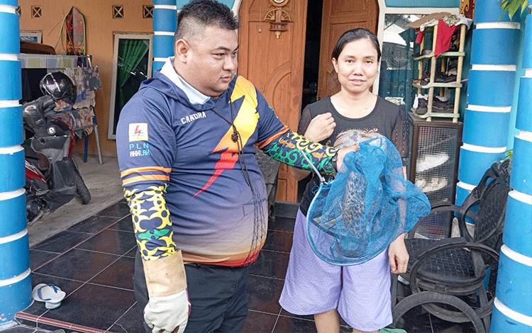 Hewan Diduga Kucing Hutan Nyasar ke Pemukiman Warga