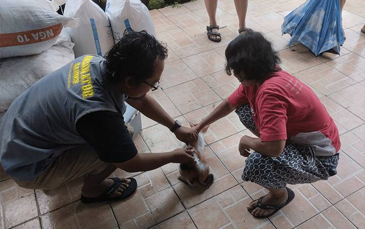 Sejak 2017, DPKP Palangka Raya Sudah Miliki Kader Vaksinator Rabies