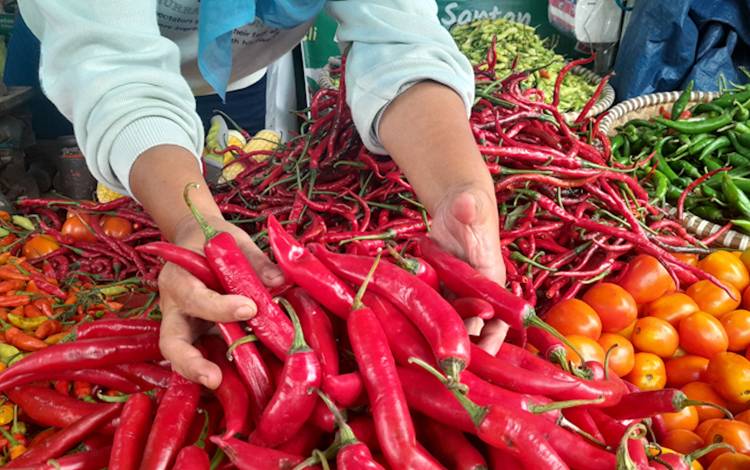 Harga Cabai di Palangka Raya Turun