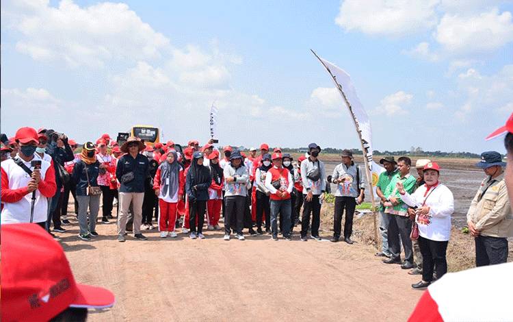 Peserta IKBAB dan HSP Kunjungi Lokasi Food Estate di Desa Bentuk Jaya A5