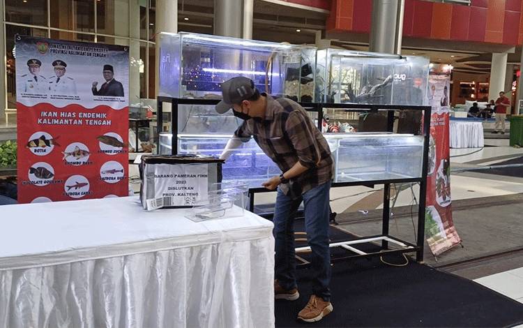 Darliansjah: Festival Ikan Hias Nusantara Ajang Promosi Kalteng