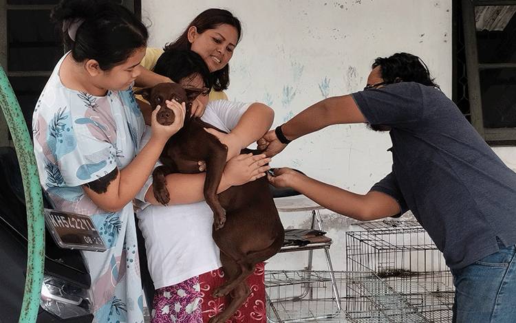 DPKP Palangka Raya akan Tambah Jumlah Vaksin Rabies Tahun Depan