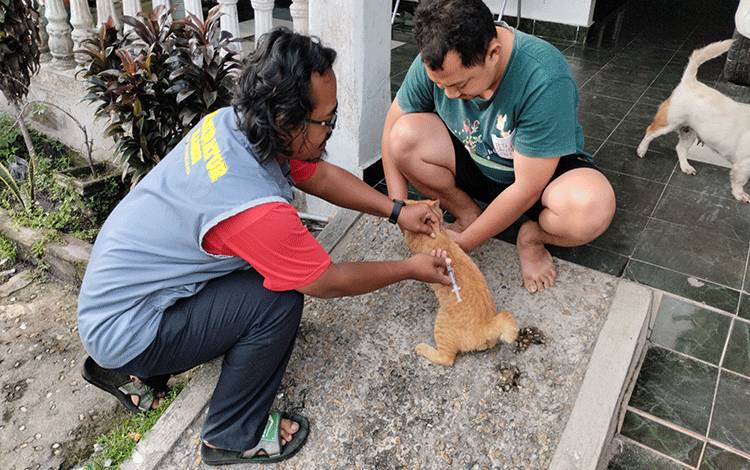 Dokter Hewan: Ketakutan Meningkatkan Kesadaran Terhadap Vaksin Rabies