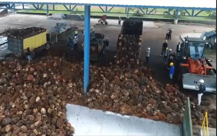 Laba Bersih SSMS Hingga September Capai Rp513 Miliar