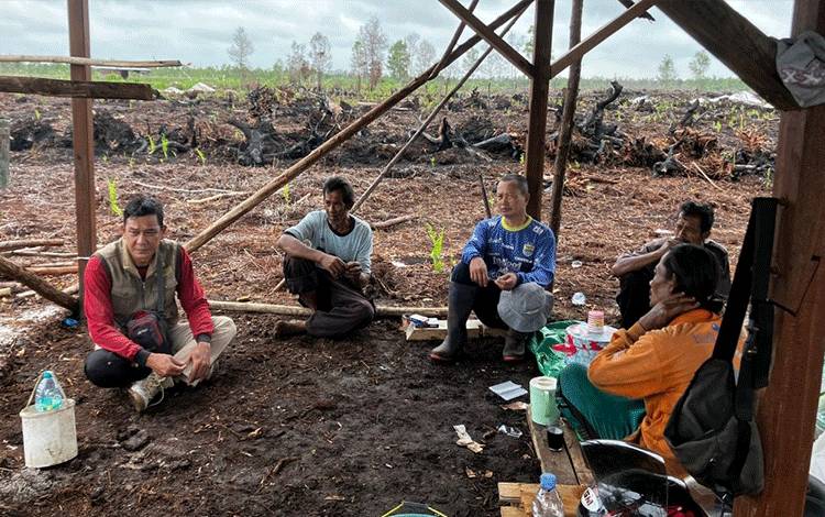 BKSDA Sampit Observasi Lokasi Kemunculan 3 Orangutan di Kebun Petani