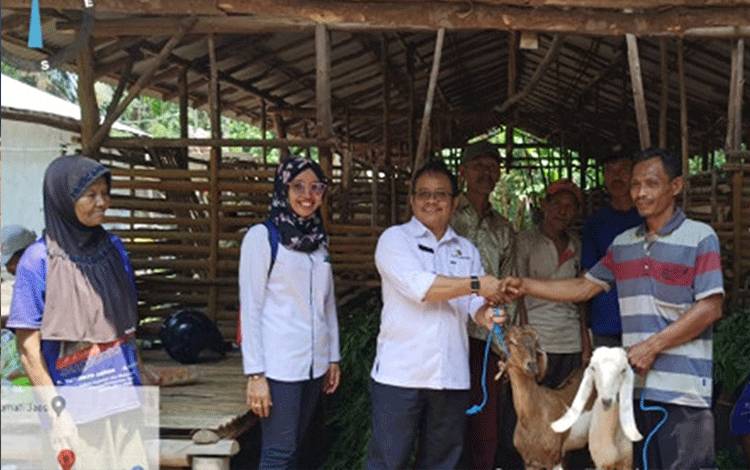 Sunarti Harap Program Perbantuan Ternak jadi Virus Positif