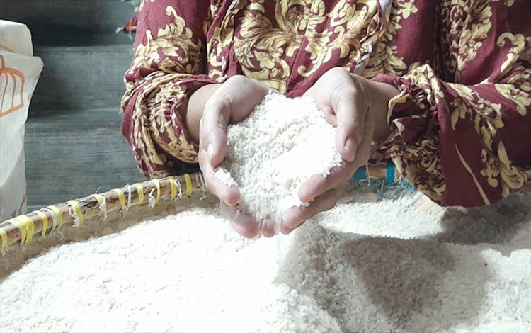 Beras Penyumbang Inflasi Terbesar