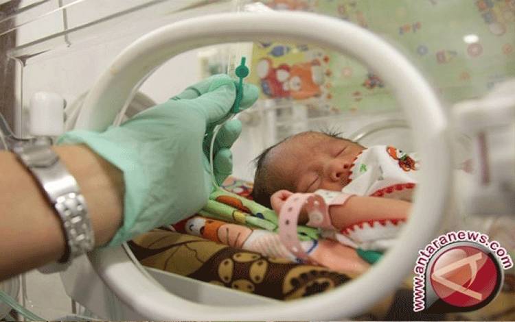 Kemenkes Sarankan Penerapan Metode Kanguru untuk Tangani Bayi Prematur