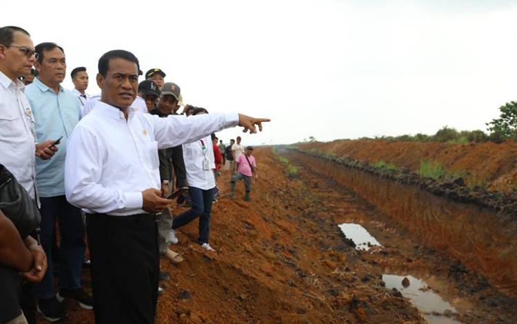 Kementan Lakukan Akselerasi Tanam untuk Tekan Impor Dampak El Nino
