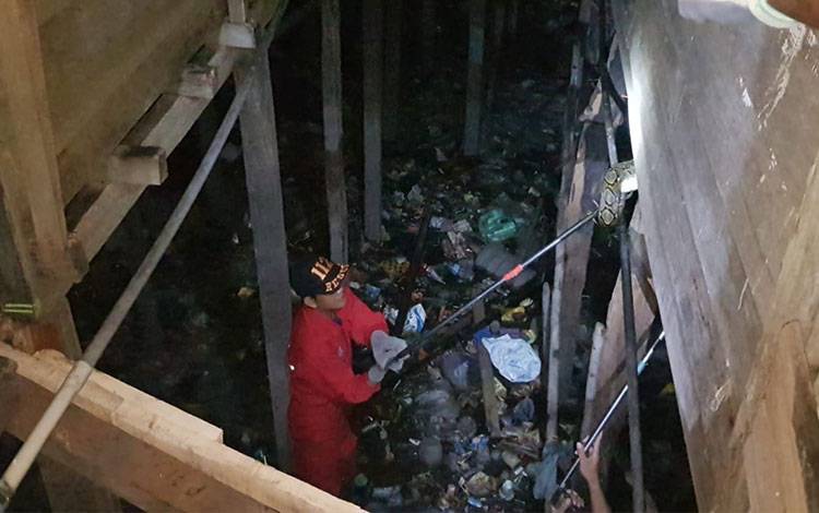 Rumah Warga di Palangka Raya Dimasuki Ular Piton, Untung Penghuni Sempat Melihat