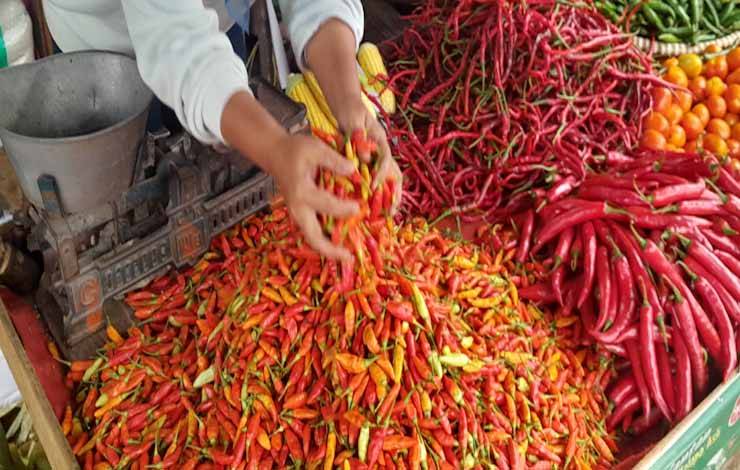 Harga Cabai di Kobar per 1 April Turun