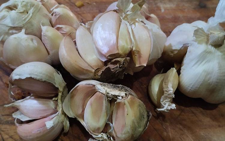 Awal Desember, Harga Bawang Putih Naik Lagi
