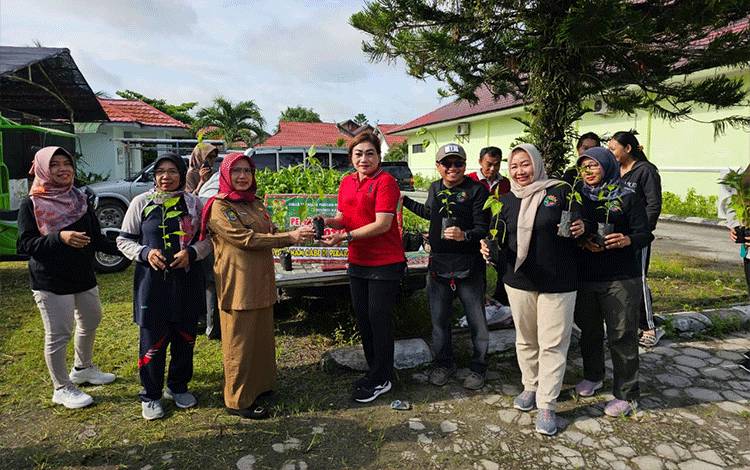 Dinas TPHP Kalteng Bagikan 2.000 Bibit Cabai