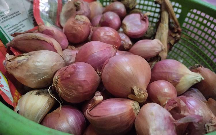 Memasuki Desember Harga Bawang Merah Naik Hingga Rp31.000