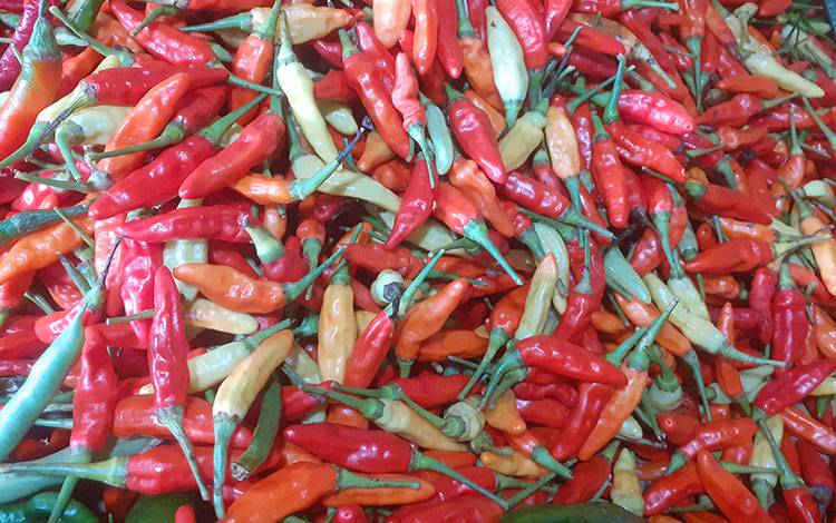 Harga Cabai Rawit Merah Turun, Ayam Kampung Tembus Rp80.000 per Kg