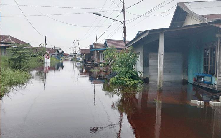 Rumah Warga Jalan Anoi Palangka Raya Kebanjiran