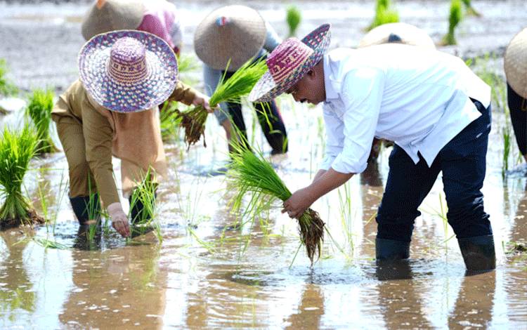 TPHP Kalteng Minta SDM Penyuluh Pertanian Ditambah