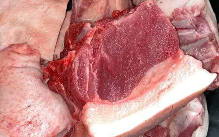 Dinkes Kalteng Ingatkan Kematangan Masak Babi Diperhatikan Demi Cegah Infeksi Cacing Pita