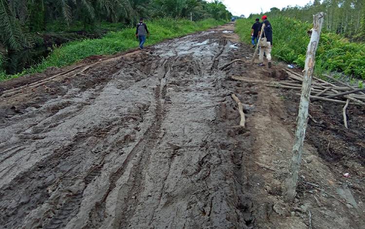 Jalan Poros Menuju Kecamatan Sebangau Kuala Rusak Parah, Roda Perekonomian Terhambat