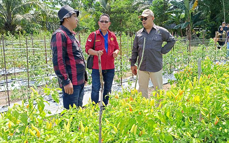 Riza Rahmadi Dorong Pemkab Bartim Jalin Kerja Sama Pembibitan Cabai dengan SMK