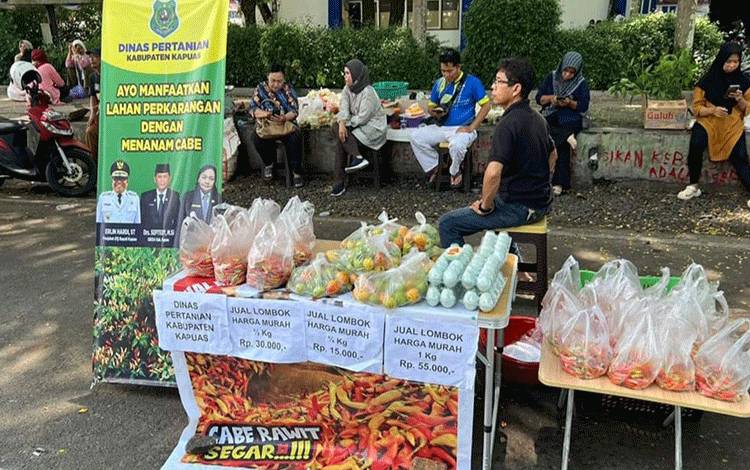 Harga Ayam Ras Naik Tajam di Kobar, Cabai Rawit dan Tomat Turun