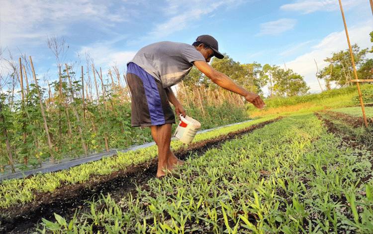 Menteri Pertanian Beberkan Penambahan Pupuk Subsidi untuk Petani