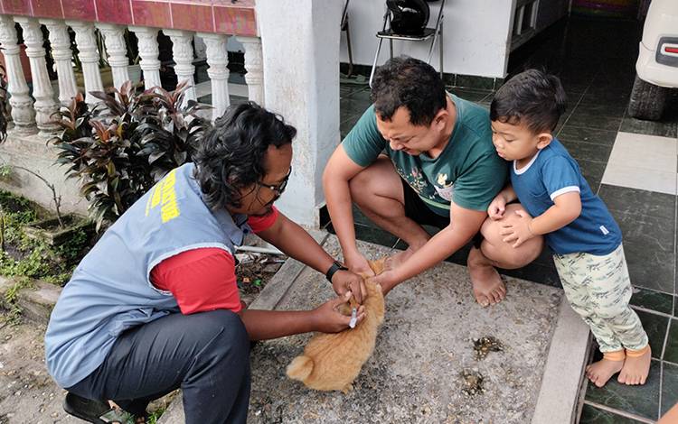 Sudah 2.187 Kucing di Palangka Raya Dapatkan Vaksin Rabies