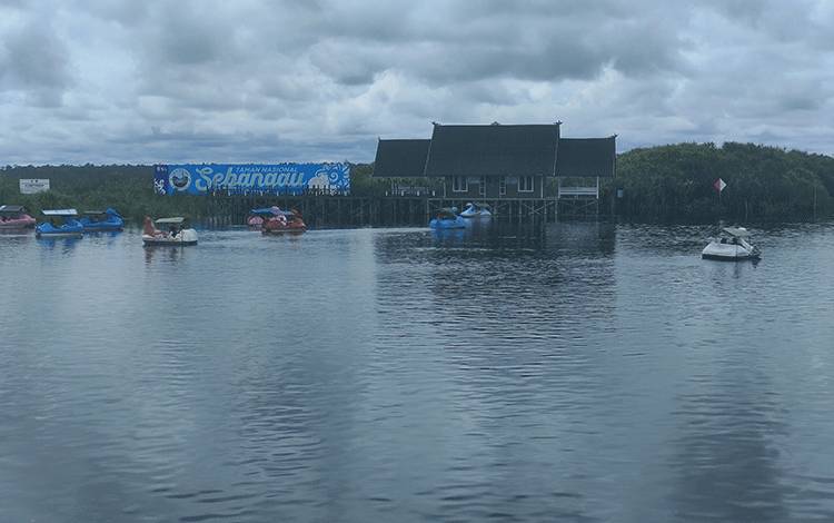 Kapal Susur Sungai dan Bebek-Bebekan Air Jadi Idola Wisatawan?di Wisata Air Hitam Sabangau