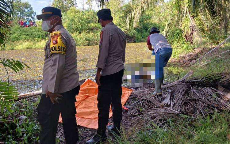 Begini Keterangan Kapolsek Aruta terkait Temuan Mayat di Rawa Perkebunan Sawit