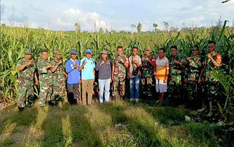 Dandim 1013 Muara Teweh dan Kadistan Barut Tinjau Lahan Jagung di Desa Mampuak