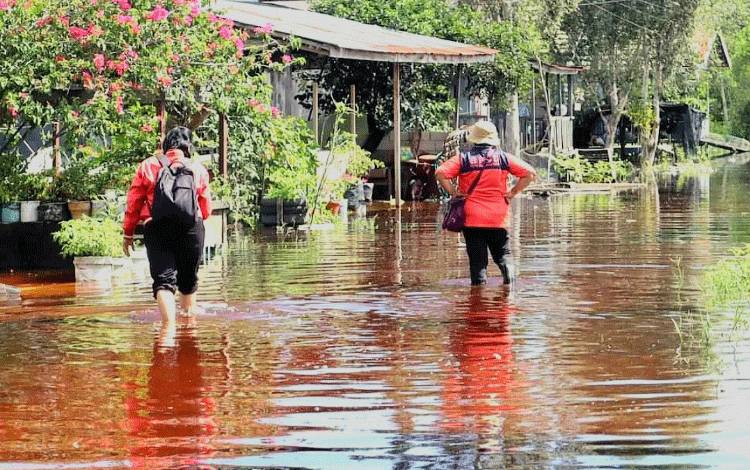 Dewan Ingatkan Semua Pihak Waspada Dalam Menghadapi Puncak Musim Hujan