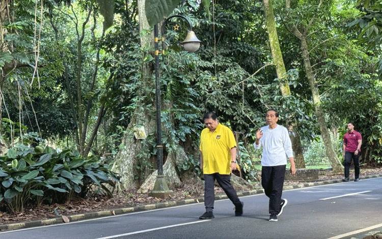 Pertemuan Jokowi-Airlangga di Tengah Rasa Nyaman dengan Golkar