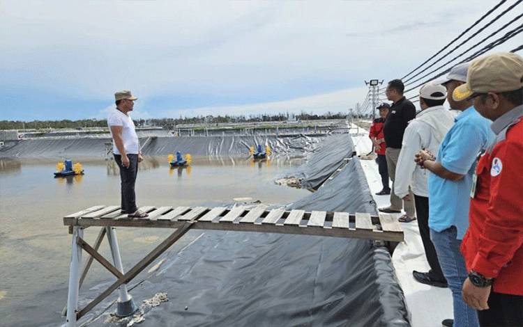 Gubernur Kalteng: Shrimp Estate Majukan Sektor Kelautan Perikanan