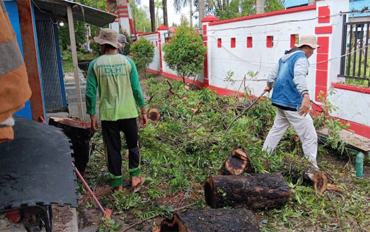 Kadis DLH Palangka Raya Mengimbau Warga Tidak Buang Ranting Pohon ke TPS