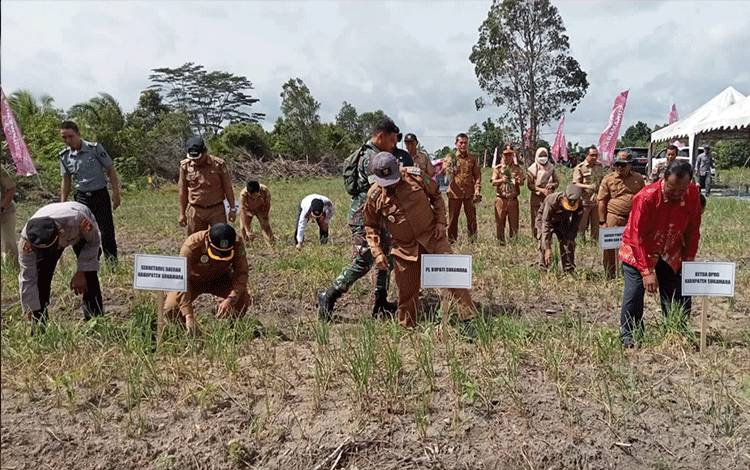 Pj Bupati Sukamara: Ketahanan Pangan Daerah Bisa Berhasil
