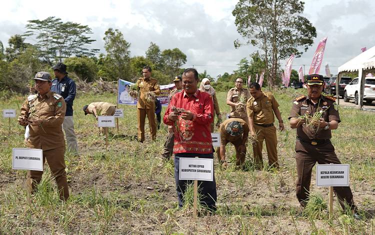 Sentra Pertanian di Sukamara Diharapkan Dapat Bersinergi Dengan Pariwisata