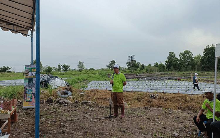 OPD Pemko Palangka Raya Ditantang Hijaukan Lahan Kosong dengan Sayuran