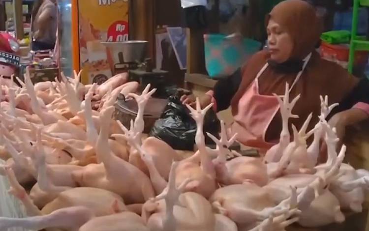 Awal Juli, Harga Daging Ayam Ras di Kobar masih Bertahan Rp45.000, Lainnya Stabil
