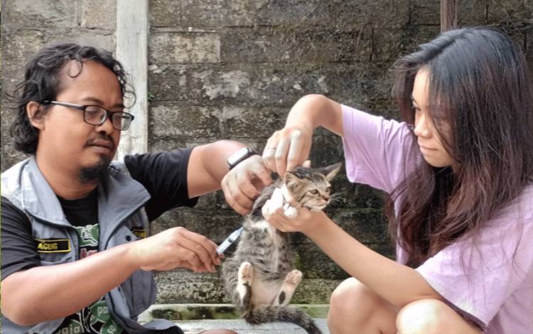 Turunkan Tingkat Kasus Rabies dengan Vaksinasi