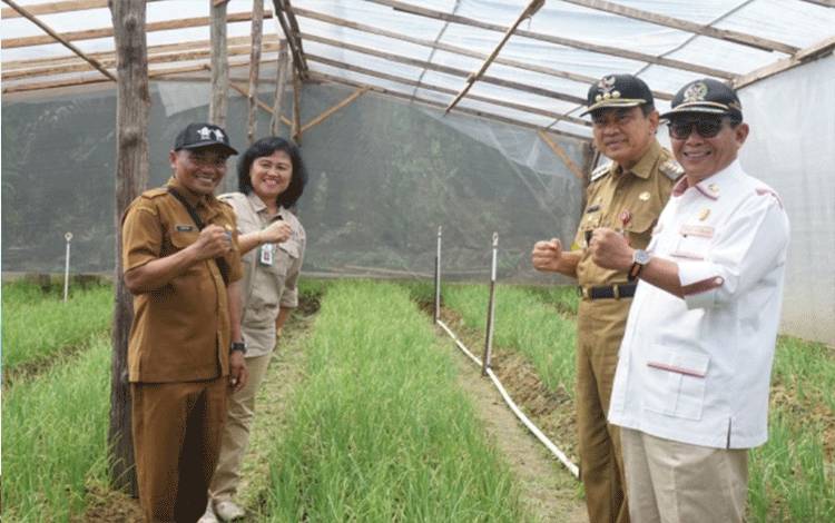 Dukung Budidaya Bawang Merah, Pj Bupati Kobar Harapkan Dapat Bantu Penuhi Kebutuhan Daerah