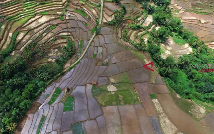 Protes Petani Eropa Tanda Solusi Iklim Jangan Hanya Dibahas Para Elite